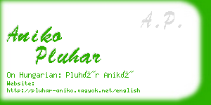 aniko pluhar business card